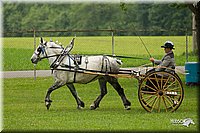 4H-1st-Show-11_0981.jpg