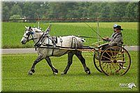 4H-1st-Show-11_0982.jpg