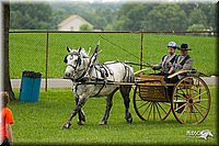 4H-1st-Show-11_0983.jpg