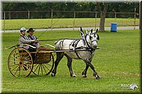 4H-1st-Show-11_0984.jpg