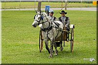 4H-1st-Show-11_0985.jpg