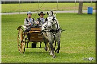 4H-1st-Show-11_0988.jpg