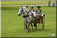 4H-1st-Show-11_0989.jpg