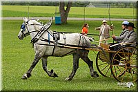 4H-1st-Show-11_0990.jpg