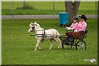 4H-1st-Show-11_0991.jpg