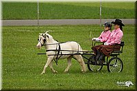 4H-1st-Show-11_0992.jpg