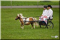 4H-1st-Show-11_0997.jpg