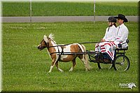 4H-1st-Show-11_0998.jpg