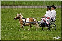 4H-1st-Show-11_0999.jpg
