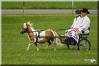 4H-1st-Show-11_1000.jpg