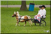 4H-1st-Show-11_1001.jpg