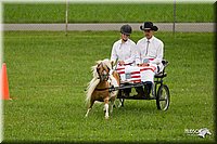4H-1st-Show-11_1002.jpg