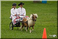 4H-1st-Show-11_1003.jpg