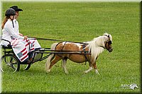 4H-1st-Show-11_1004.jpg