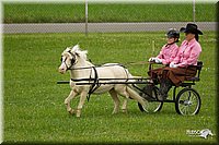 4H-1st-Show-11_1005.jpg