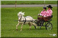 4H-1st-Show-11_1006.jpg