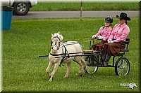 4H-1st-Show-11_1007.jpg