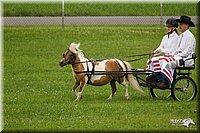 4H-1st-Show-11_1009.jpg