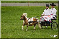 4H-1st-Show-11_1010.jpg
