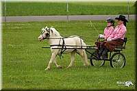 4H-1st-Show-11_1011.jpg