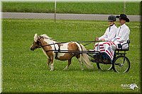 4H-1st-Show-11_1012.jpg