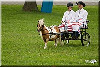 4H-1st-Show-11_1013.jpg