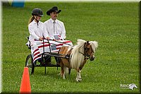 4H-1st-Show-11_1014.jpg