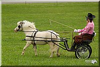 4H-1st-Show-11_1015.jpg