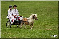 4H-1st-Show-11_1016.jpg