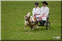 4H-1st-Show-11_1017.jpg