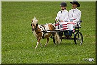 4H-1st-Show-11_1018.jpg