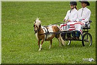 4H-1st-Show-11_1019.jpg