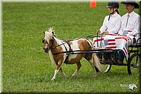 4H-1st-Show-11_1020.jpg