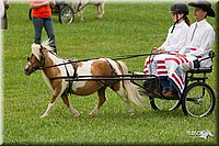 4H-1st-Show-11_1021.jpg