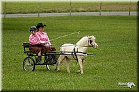 4H-1st-Show-11_1022.jpg