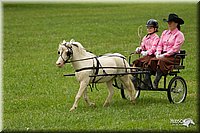 4H-1st-Show-11_1024.jpg