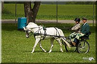 4H-1st-Show-11_1028.jpg