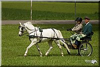 4H-1st-Show-11_1029.jpg