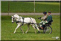 4H-1st-Show-11_1030.jpg
