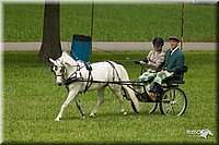 4H-1st-Show-11_1031.jpg