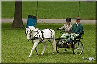 4H-1st-Show-11_1034.jpg