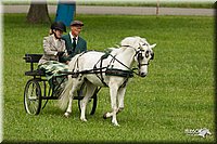 4H-1st-Show-11_1035.jpg