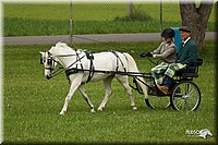 4H-1st-Show-11_1036.jpg