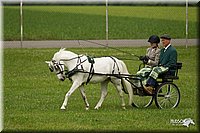 4H-1st-Show-11_1037.jpg