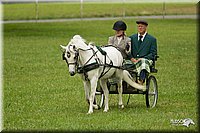 4H-1st-Show-11_1040.jpg