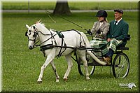 4H-1st-Show-11_1041.jpg