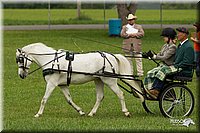 4H-1st-Show-11_1043.jpg