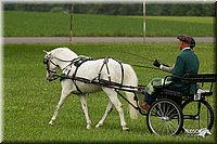 4H-1st-Show-11_1044.jpg