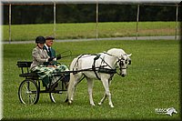 4H-1st-Show-11_1045.jpg