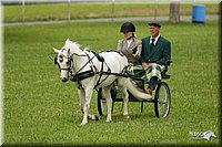 4H-1st-Show-11_1046.jpg